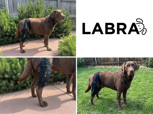 Show full view: Labra ACL MCL Patella Injuries Universal Fit Left Right Knee Brace for Dogs, X-Small slide 7 of 8