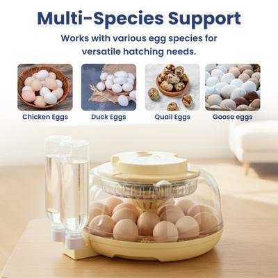 Show full view: PawsPik Automatic 18 Egg Smart Incubator, Medium slide 8 of 9