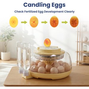 PawsPik Automatic 18 Egg Smart Incubator, Medium