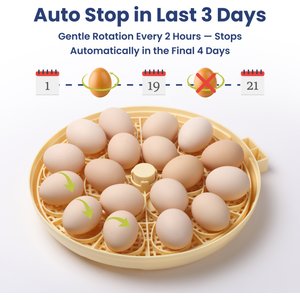 PawsPik Automatic 18 Egg Smart Incubator, Medium