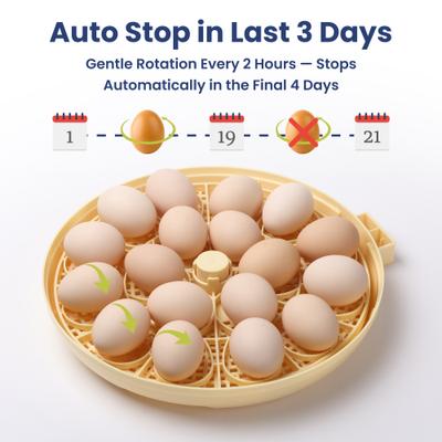 Show full view: PawsPik Automatic 18 Egg Smart Incubator, Medium slide 7 of 9