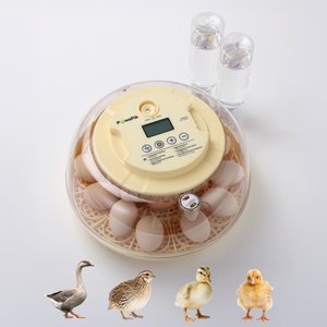PawsPik Automatic 18 Egg Smart Incubator, Medium