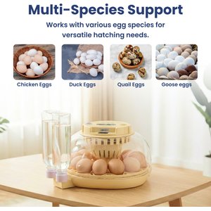 PawsPik Automatic 12 Egg Smart Incubator, Small