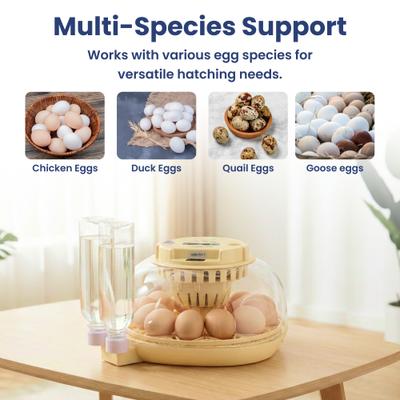 Show full view: PawsPik Automatic 12 Egg Smart Incubator, Small slide 8 of 9