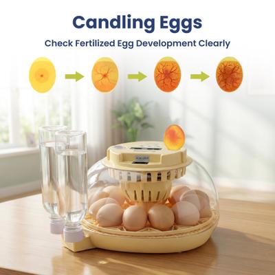 Show full view: PawsPik Automatic 12 Egg Smart Incubator, Small slide 5 of 9