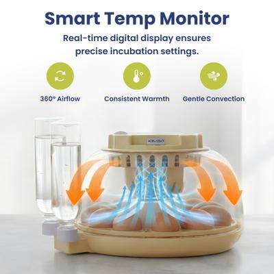 Show full view: PawsPik Automatic 12 Egg Smart Incubator, Small slide 6 of 9