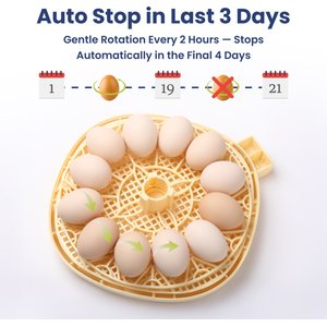 PawsPik Automatic 12 Egg Smart Incubator, Small