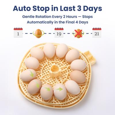 Show full view: PawsPik Automatic 12 Egg Smart Incubator, Small slide 7 of 9