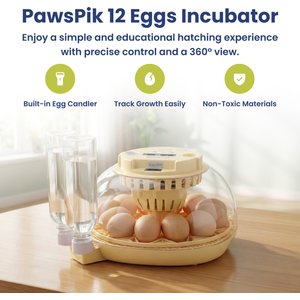 PawsPik Automatic 12 Egg Smart Incubator, Small