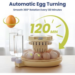 PawsPik Automatic 12 Egg Smart Incubator, Small