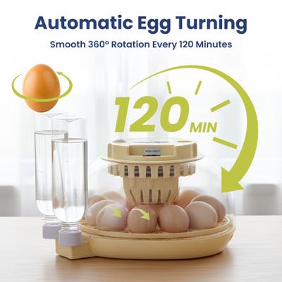 Show full view: PawsPik Automatic 12 Egg Smart Incubator, Small slide 3 of 9