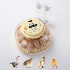 PawsPik Automatic 12 Egg Smart Incubator, Small