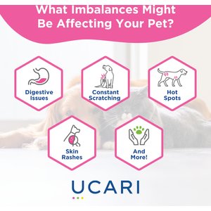 Ucari Comprehensive At-Home Intolerance Elite Testing Kit for Dogs & Cats