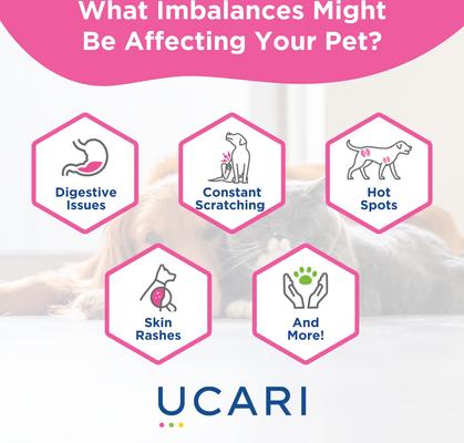 Show full view: Ucari Comprehensive At-Home Intolerance Premium Testing Kit for Dogs & Cats slide 8 of 8