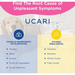 Ucari Comprehensive At-Home Intolerance Elite Testing Kit for Dogs & Cats