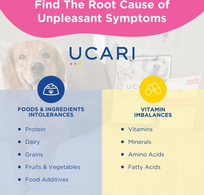 Show full view: Ucari Comprehensive At-Home Intolerance Premium Testing Kit for Dogs & Cats slide 7 of 8
