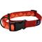 Show in main carousel: Hamilton A Day Together Ribbon Overlay Nylon Standard Dog Collar, Red Triangle, Small/Medium: 12 to 18-in neck, 5/8-in wide slide 1 of 5