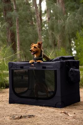 Show full view: Noah & Paw Collapsible Soft-Sided Dog Crate, Black, 42-in slide 7 of 9