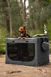 Noah & Paw Collapsible Soft-Sided Dog Crate, Grey, 26-in slide 2 of 9