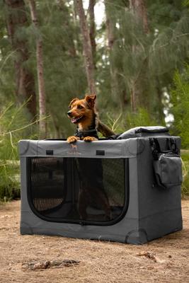 Show full view: Noah & Paw Collapsible Soft-Sided Dog Crate, Grey, 42-in slide 8 of 10