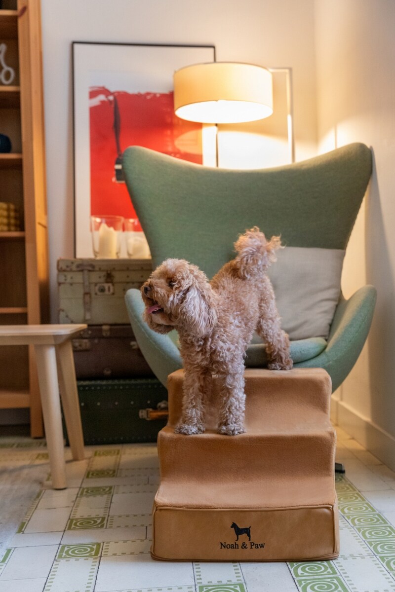Out of Stock - NOAH & PAW Machine Washable Faux Leather 3 Step Dog ...