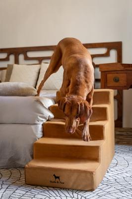 Show full view: Noah & Paw Machine Washable Faux Leather 5 Step Dog Stairs, Camel slide 2 of 9
