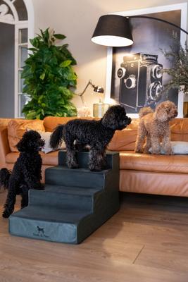 Show full view: Noah & Paw Machine Washable Faux Leather 4 Step Dog Stairs, Dark Green slide 3 of 10