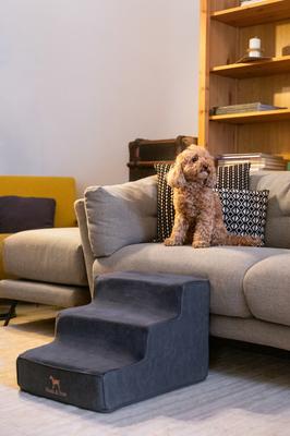 Show full view: Noah & Paw Machine Washable Faux Leather 3 Step Dog Stairs, Black slide 3 of 10