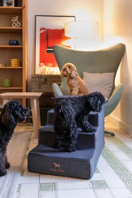 Show full view: Noah & Paw Machine Washable Faux Leather 4 Step Dog Stairs, Black slide 3 of 9