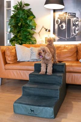 Show full view: Noah & Paw Machine Washable Faux Leather 4 Step Dog Stairs, Dark Green slide 2 of 10