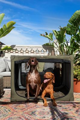 Show full view: Noah & Paw Collapsible Soft-Sided Dog Crate, Green, 42-in slide 2 of 9