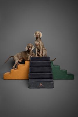 Show full view: Noah & Paw Machine Washable Faux Leather 5 Step Dog Stairs, Black slide 8 of 9
