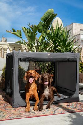 Show full view: Noah & Paw Collapsible Soft-Sided Dog Crate, Grey, 42-in slide 3 of 10