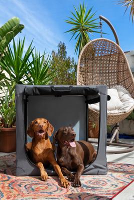 Show full view: Noah & Paw Collapsible Soft-Sided Dog Crate, Grey, 42-in slide 4 of 10