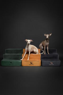 Show full view: Noah & Paw Machine Washable Faux Leather 3 Step Dog Stairs, Dark Green slide 8 of 9