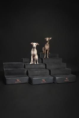 Show full view: Noah & Paw Machine Washable Faux Leather 4 Step Dog Stairs, Black slide 7 of 9