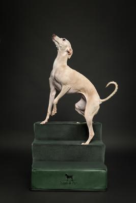 Show full view: Noah & Paw Machine Washable Faux Leather 3 Step Dog Stairs, Dark Green slide 4 of 9