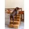 Show in main carousel: Noah & Paw Machine Washable Faux Leather 5 Step Dog Stairs, Camel slide 4 of 9