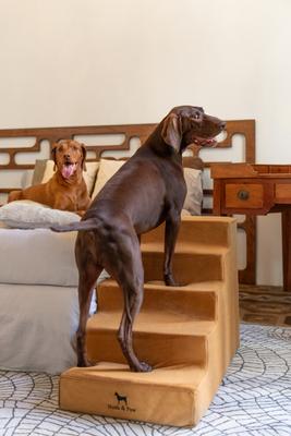 Show full view: Noah & Paw Machine Washable Faux Leather 5 Step Dog Stairs, Camel slide 4 of 9