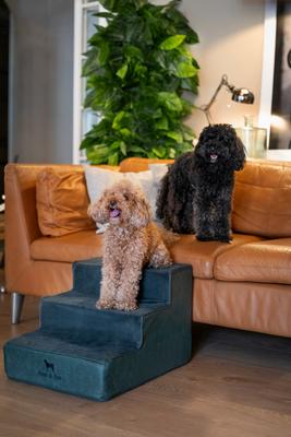 Show full view: Noah & Paw Machine Washable Faux Leather 3 Step Dog Stairs, Dark Green slide 2 of 9