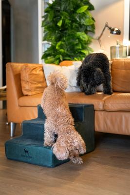 Show full view: Noah & Paw Machine Washable Faux Leather 3 Step Dog Stairs, Dark Green slide 3 of 9