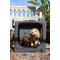 Show in main carousel: Noah & Paw Collapsible Soft-Sided Dog Crate, Grey, 30-in slide 3 of 9