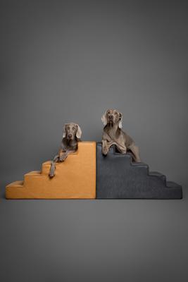 Show full view: Noah & Paw Machine Washable Faux Leather 5 Step Dog Stairs, Black slide 9 of 9
