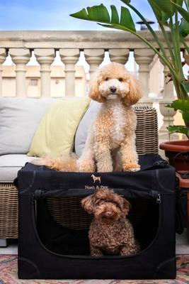 Show full view: Noah & Paw Collapsible Soft-Sided Dog Crate, Black, 26-in slide 4 of 10