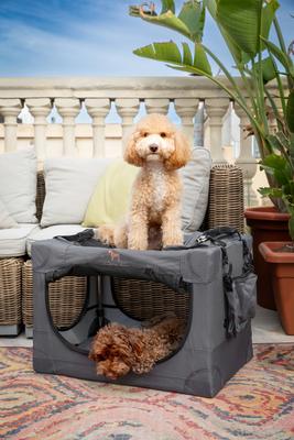 Show full view: Noah & Paw Collapsible Soft-Sided Dog Crate, Grey, 26-in slide 2 of 9