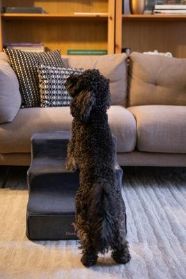 Show full view: Noah & Paw Machine Washable Faux Leather 3 Step Dog Stairs, Black slide 4 of 10