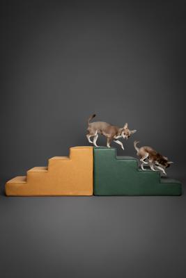 Show full view: Noah & Paw Machine Washable Faux Leather 4 Step Dog Stairs, Dark Green slide 9 of 10