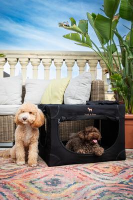 Show full view: Noah & Paw Collapsible Soft-Sided Dog Crate, Black, 26-in slide 3 of 10