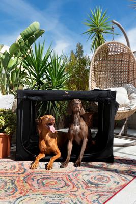 Show full view: Noah & Paw Collapsible Soft-Sided Dog Crate, Black, 42-in slide 2 of 9