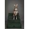 Show in main carousel: Noah & Paw Machine Washable Faux Leather 4 Step Dog Stairs, Dark Green slide 4 of 10